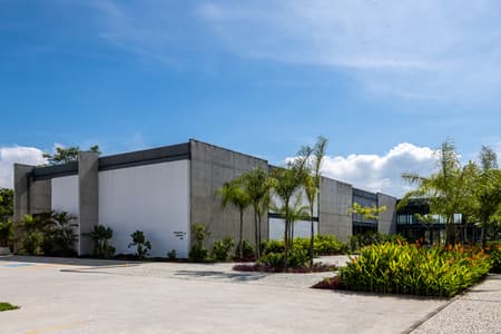 Museu do pontal
